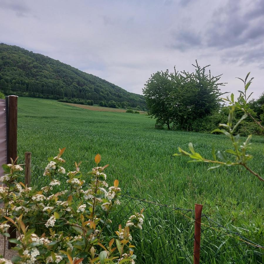 Ferienwohnung Rudat Treuchtlingen Esterno foto
